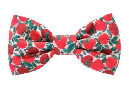 Apple Of My Eye Bow Tie Sale