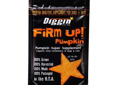 Firm Up! Pumpkin For Sale