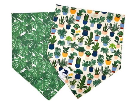 House Plant Bandana For Sale