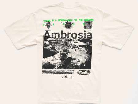 Ambrosia | Mr. Lu  Tea  For Cheap