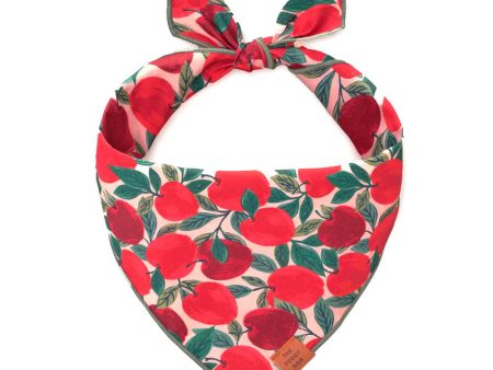 Apple Of My Eye Bandana Fashion