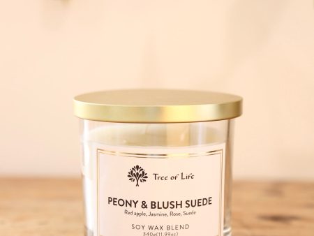 Peony and Blush Suede 3 Wick Candle Online Sale