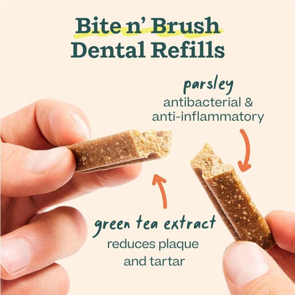 Bite n  Brush Refill Sale