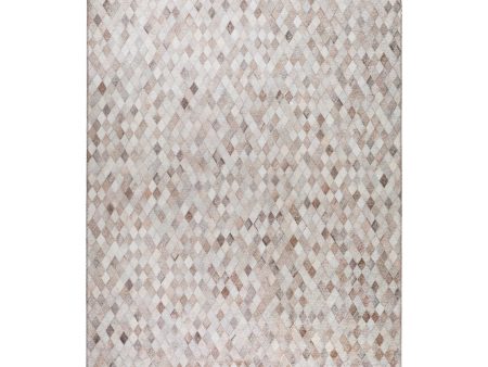 Dalyn Rugs Stetson SS6 Flannel Animal Machine Made Rug Hot on Sale