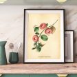 Botanical Doughnut Print Sale