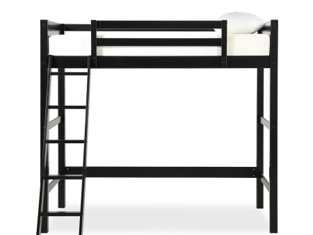 Kiarah Twin Loft Bed with Ladde on Sale