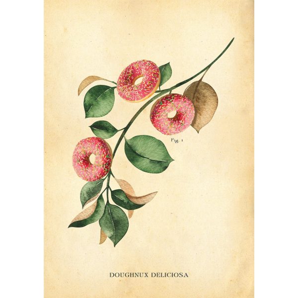 Botanical Doughnut Print Sale