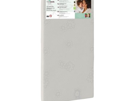 Golden Star Crib and Toddler Bed Mattress Cheap