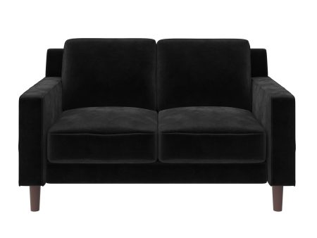 Brynn Fabric Upholstered 2 Seater Sofa with Wood Legs Fashion