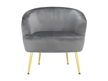 Kara Teddy Soft Accent Chair with Gold Legs Cheap