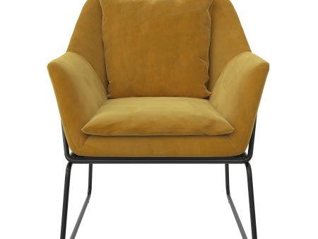 Avery Velvet Upholstered Accent Chair with Padded Backrest on Sale