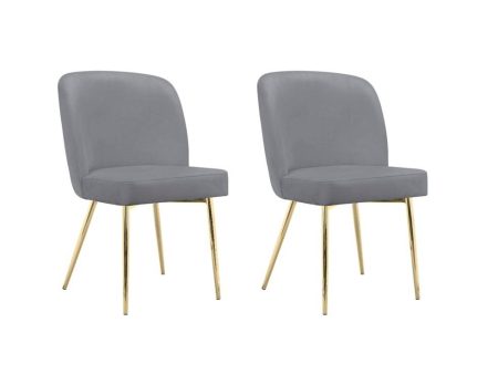 Trina Dining Chair with Chrome Plated Gold Legs, Set of 2 Online now