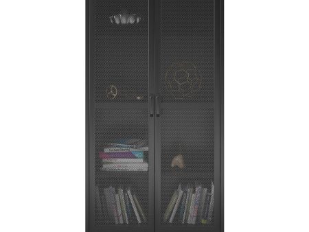 Shadwick 2 Door Tall Metal Locker Style Storage Cabinet-Mesh Metal Doors Discount